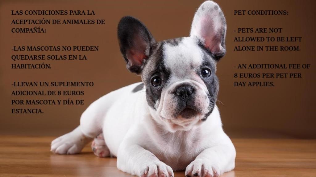 Las Abadias Mérida Eksteriør billede